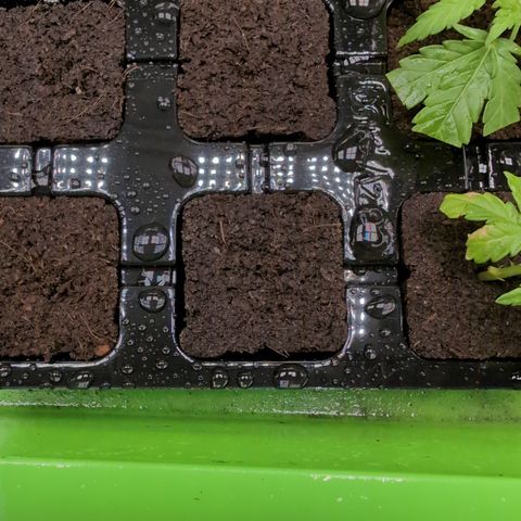 I/01-F1 growlog timeline photo