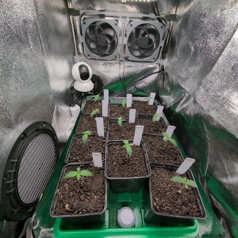 H/01-P1 growlog timeline photo