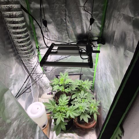 Moby 🍆  growlog timeline photo