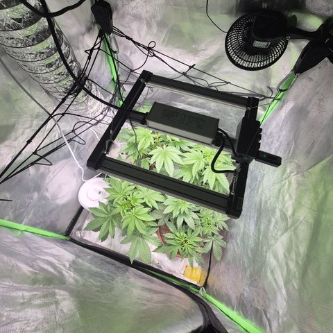 Moby Dick 1 growlog timeline photo