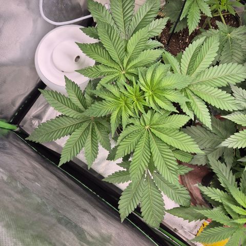 Moby 🍆  growlog timeline photo