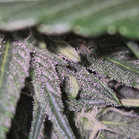 Moby 🍆  growlog timeline photo
