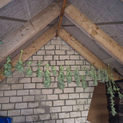 Moby 🍆  growlog timeline photo
