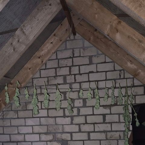 Moby 🍆  growlog timeline photo