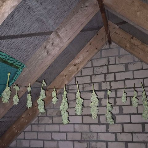 Moby 🍆  growlog timeline photo