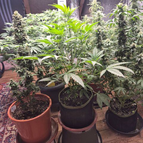 Ice cream cake 🍰 & permanent marker🖊(65-73bt) growlog timeline photo