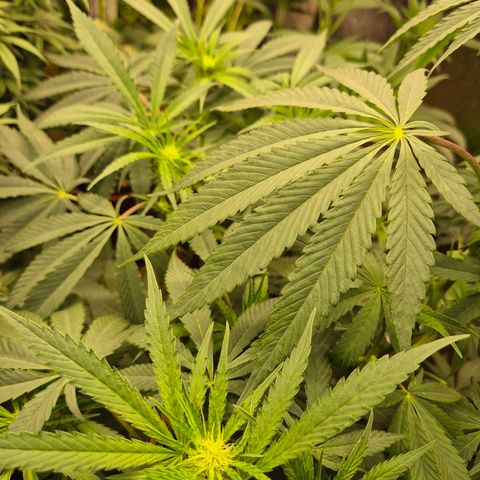 Ice cream cake 🍰 & permanent marker🖊(65-73bt) growlog timeline photo