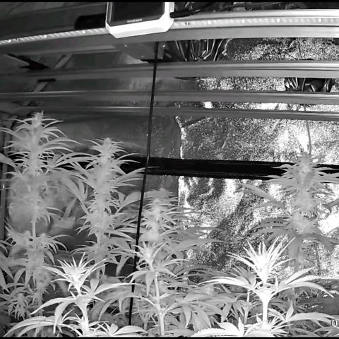 Ice cream cake 🍰 & permanent marker🖊(65-73bt) growlog timeline photo