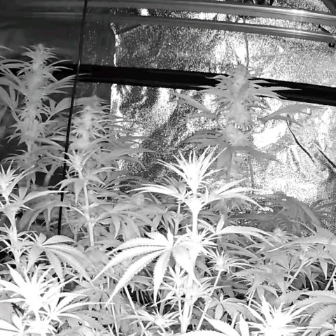 Ice cream cake 🍰 & permanent marker🖊(65-73bt) growlog timeline photo