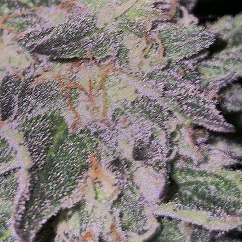 Ice cream cake 🍰 & permanent marker🖊(65-73bt) growlog timeline photo