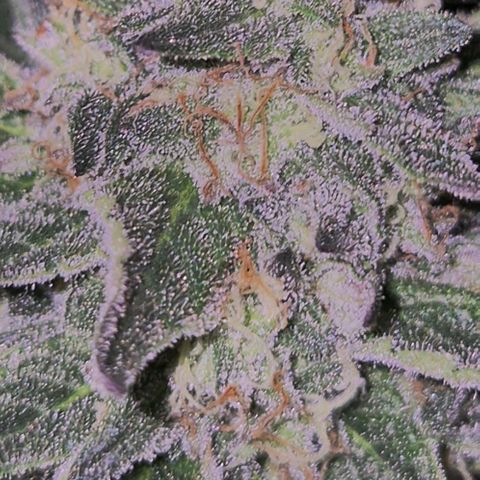 Ice cream cake 🍰 & permanent marker🖊(65-73bt) growlog timeline photo