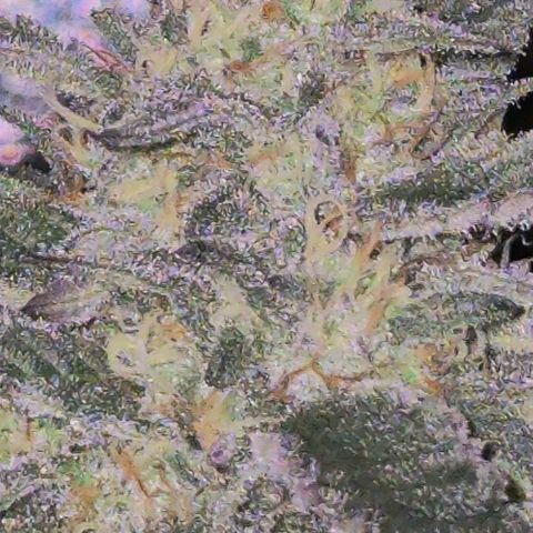 Ice cream cake 🍰 & permanent marker🖊(65-73bt) growlog timeline photo