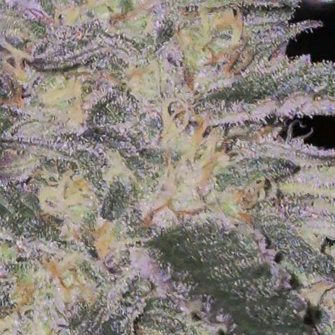 Ice cream cake 🍰 & permanent marker🖊(65-73bt) growlog timeline photo