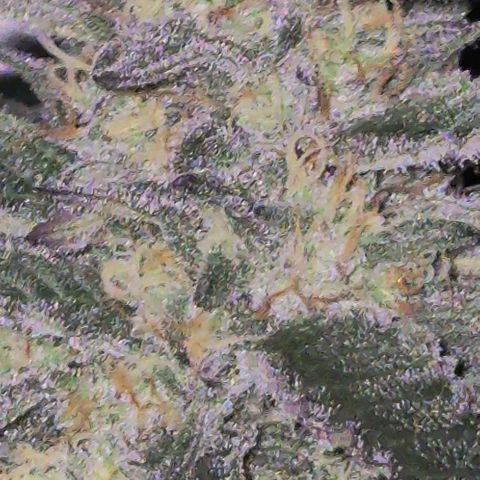 Ice cream cake 🍰 & permanent marker🖊(65-73bt) growlog timeline photo