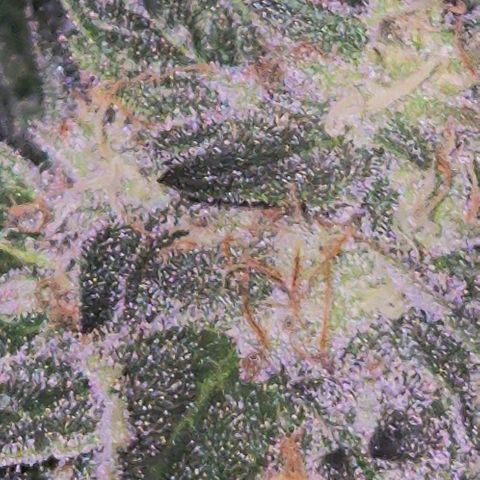Ice cream cake 🍰 & permanent marker🖊(65-73bt) growlog timeline photo