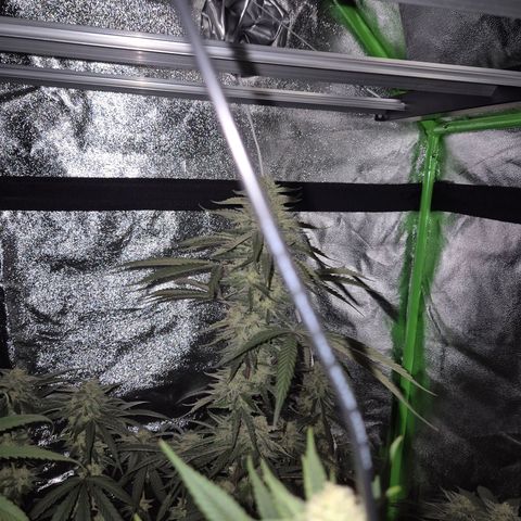 Ice cream cake 🍰 & permanent marker🖊(65-73bt) growlog timeline photo