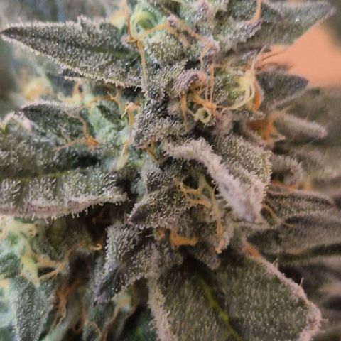 Ice cream cake 🍰 & permanent marker🖊(65-73bt) growlog timeline photo
