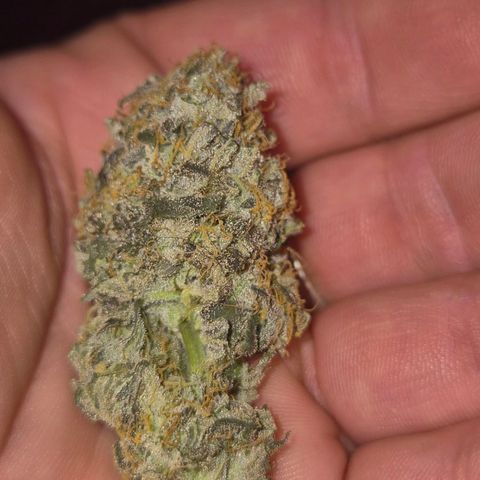 Ice cream cake 🍰 & permanent marker🖊(65-73bt) growlog photo: Testbud, angetrocknet 3. tag