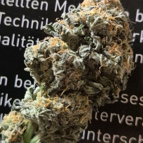 Ice cream cake 🍰 & permanent marker🖊(65-73bt) growlog timeline photo