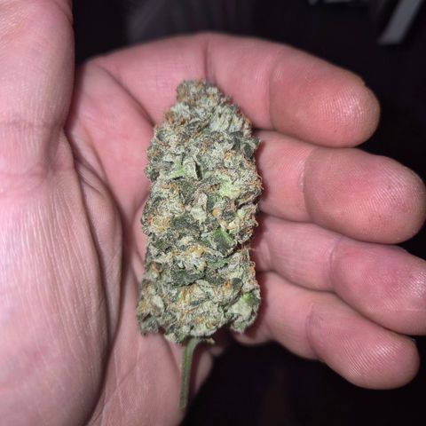 ICE 💚🧊 (63-70bt) growlog photo: Testbud