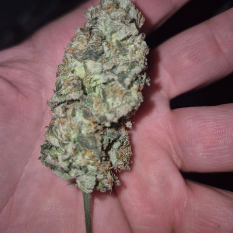 ICE 💚🧊 (63-70bt) growlog photo: Testbud