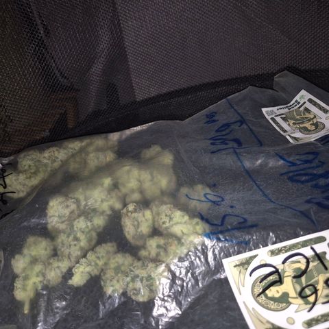 ICE 💚🧊 (63-70bt) growlog timeline photo