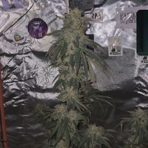 Ice cream cake 🍰 & permanent marker🖊(65-73bt) growlog timeline photo