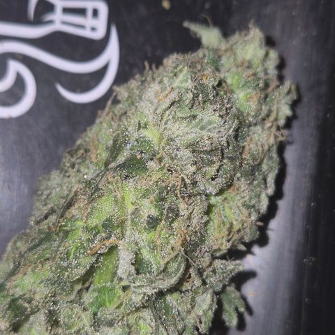 ICE 💚🧊 (63-70bt) growlog timeline photo