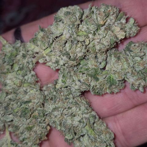 ICE 💚🧊 (63-70bt) growlog timeline photo