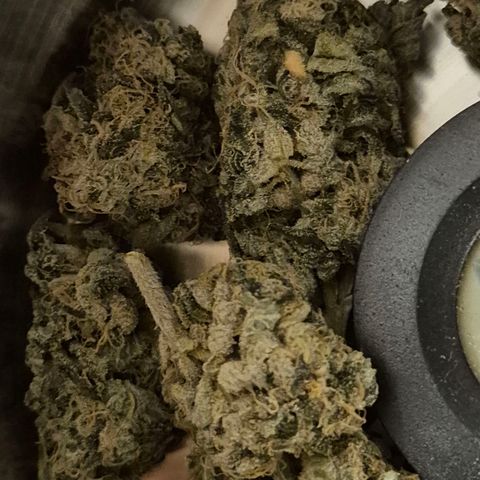 ICE 💚🧊 (63-70bt) growlog timeline photo