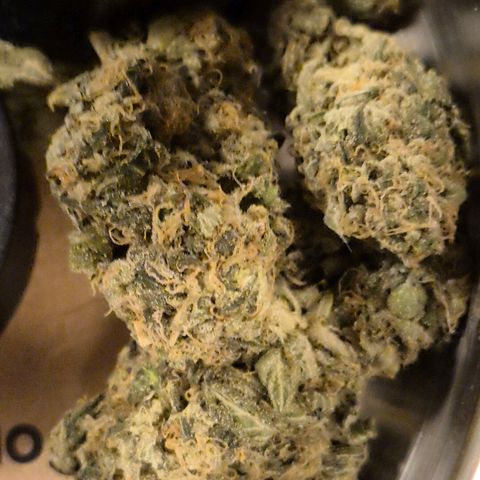 ICE 💚🧊 (63-70bt) growlog timeline photo