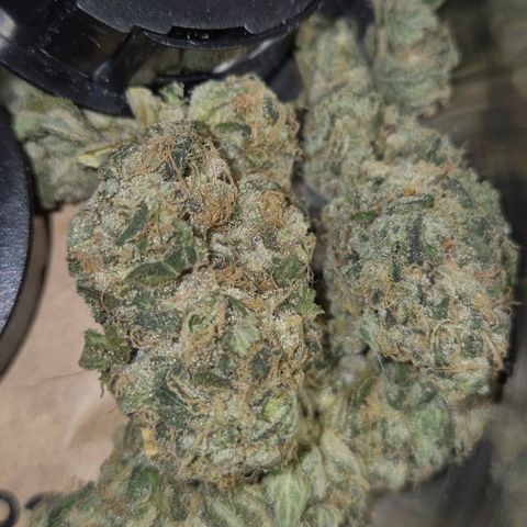 ICE 💚🧊 (63-70bt) growlog timeline photo