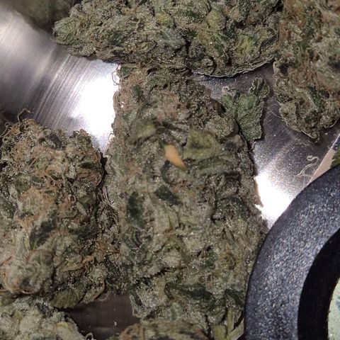 ICE 💚🧊 (63-70bt) growlog timeline photo