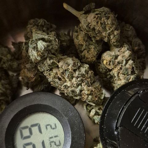 ICE 💚🧊 (63-70bt) growlog timeline photo
