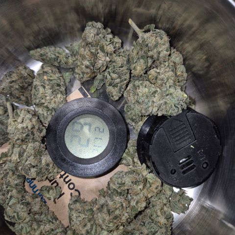 ICE 💚🧊 (63-70bt) growlog timeline photo