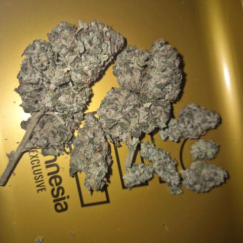 ICE 💚🧊 (63-70bt) growlog timeline photo