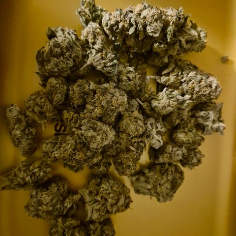 Ice cream cake 🍰 & permanent marker🖊(65-73bt) growlog photo: Der Duft...!!🤩🤩🫶