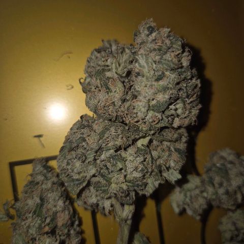ICE 💚🧊 (63-70bt) growlog timeline photo