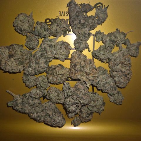 Ice cream cake 🍰 & permanent marker🖊(65-73bt) growlog photo: 🤤🤤🤤🤤🤤🤤🤩