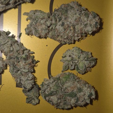 ICE 💚🧊 (63-70bt) growlog timeline photo