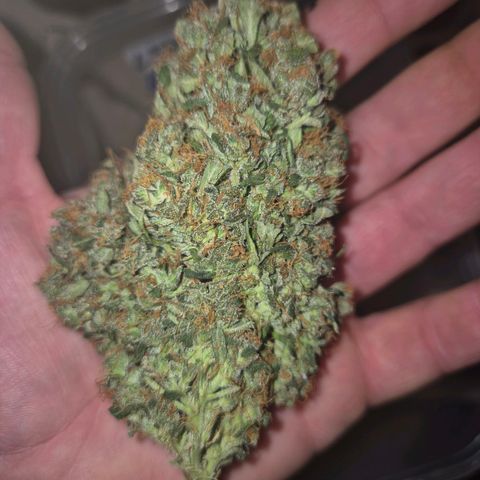 💚CHOCOLOPE 🍫 ☕️auto (56-63 BT) growlog timeline photo