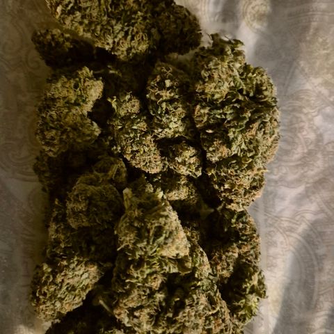 💚Bubba kush 🦝 (56-63 BT) growlog timeline photo