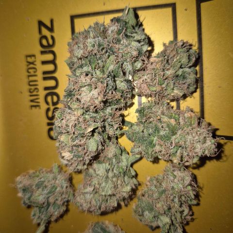 Tangerine dream 🌴 (60-65bt)  growlog timeline photo