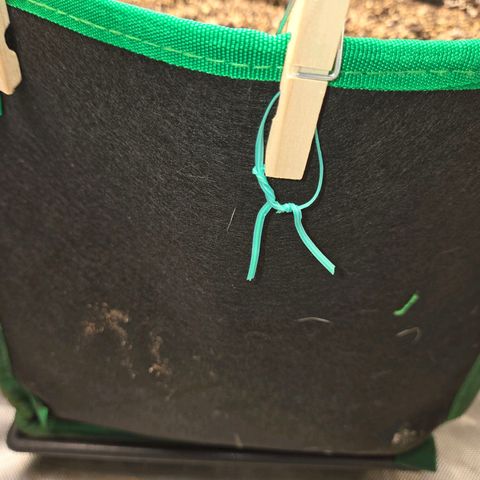 Renee aka Purple Poison  growlog photo: aww slow and low like I like to grow.way to go