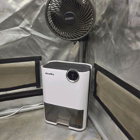 Renee aka Purple Poison  growlog photo: Added new dehumidifier 