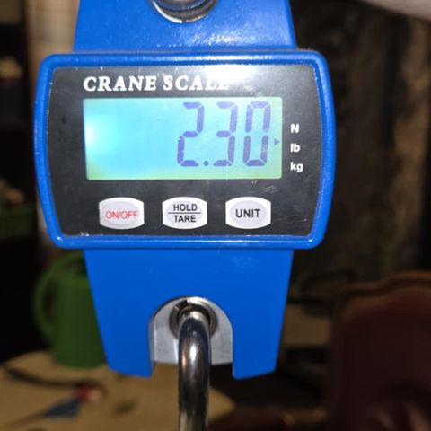 Renee aka Purple Poison  growlog timeline photo