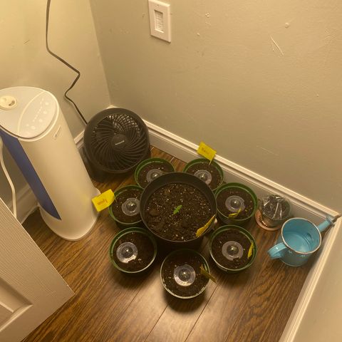 Martha growlog timeline photo