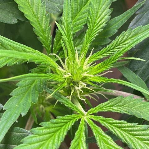 Martha growlog timeline photo