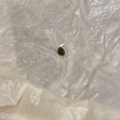 Sabrina growlog timeline photo