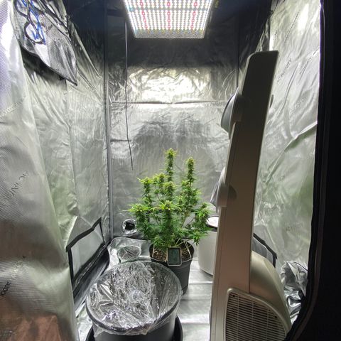Martha growlog timeline photo